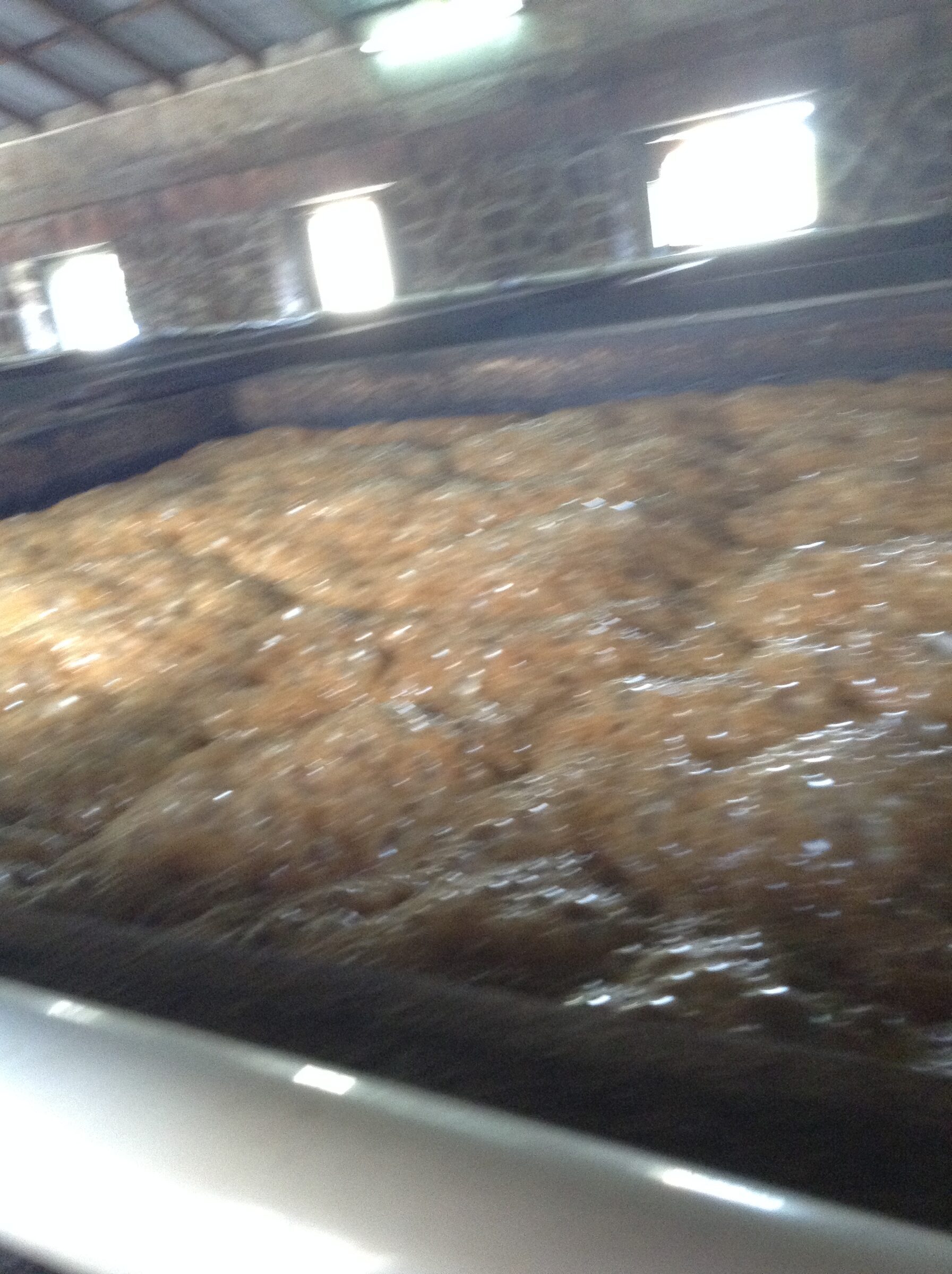 Cane juice fermenting