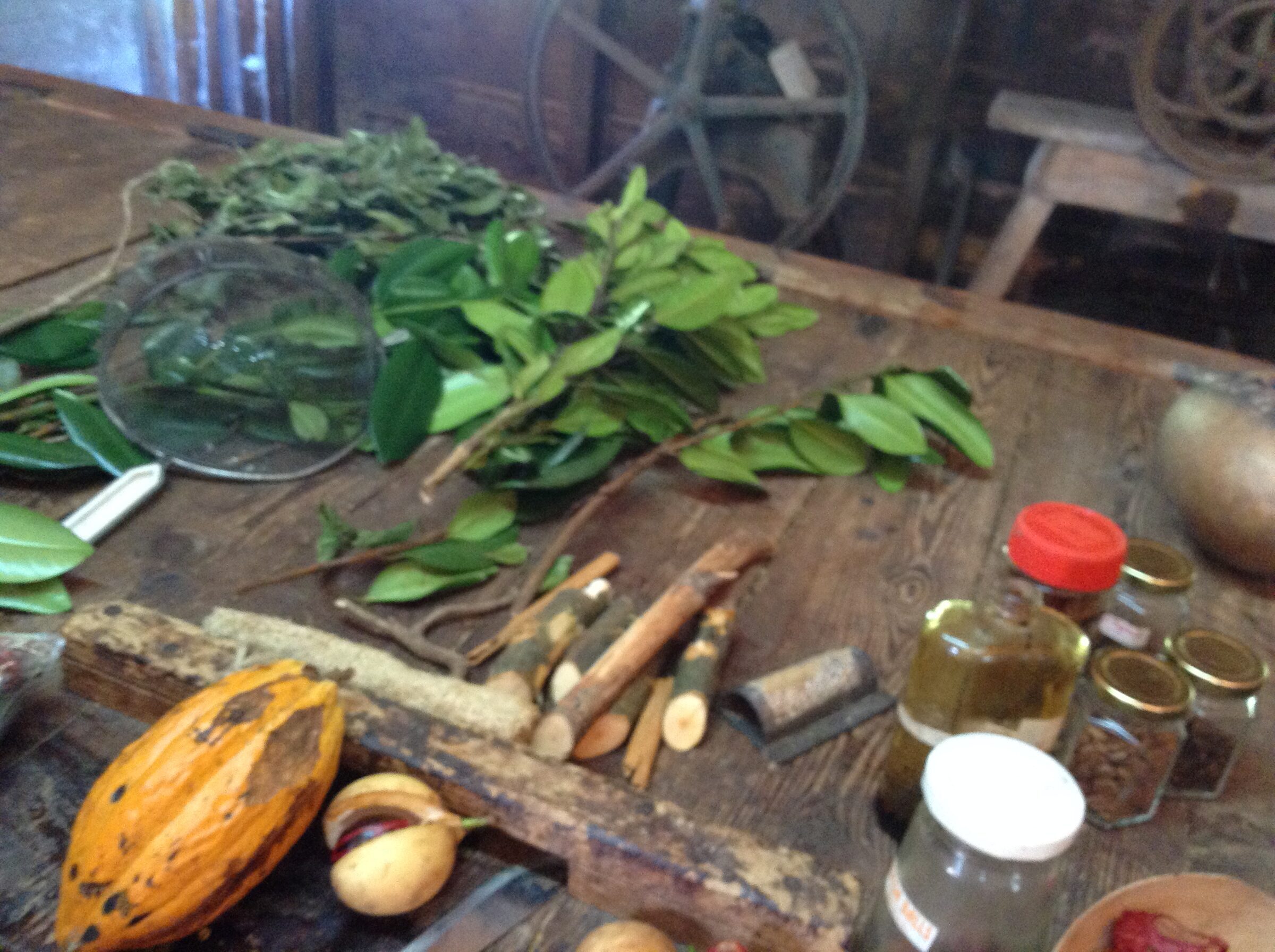 Cocoa pod and spices at Dougaldston