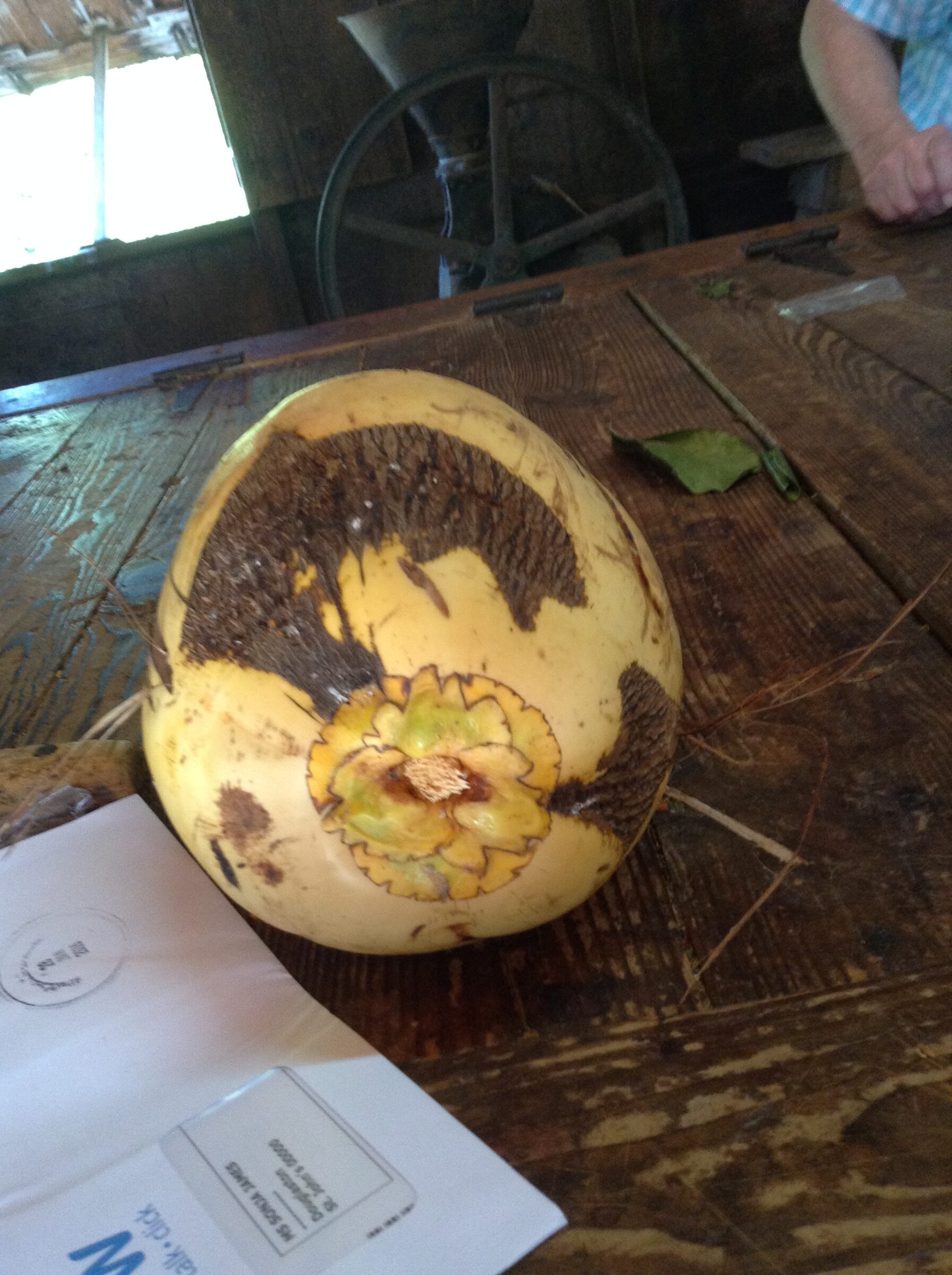 A carved calabash at Dougaldston