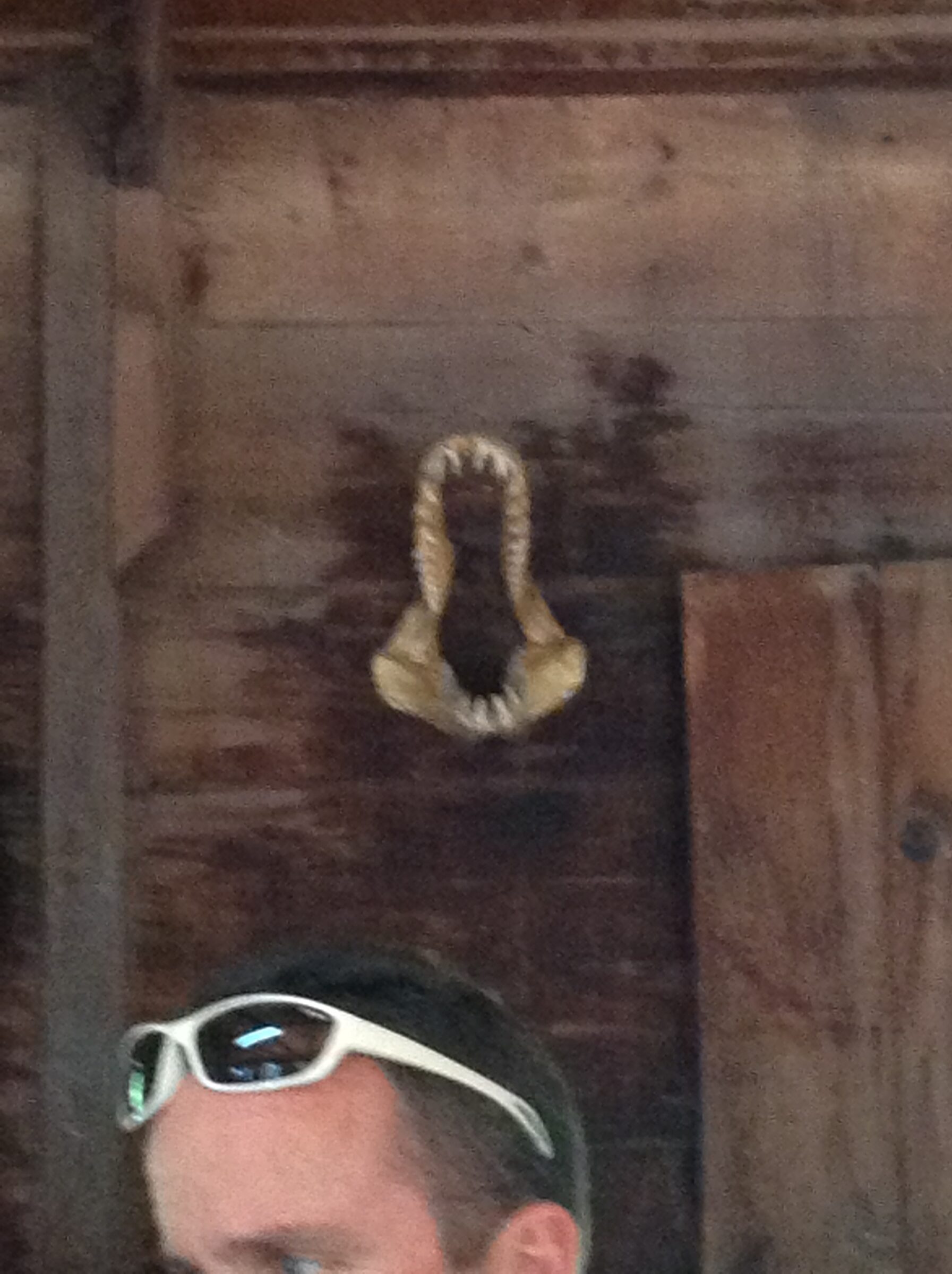 A shark jaw hung on the wall at the spice estate