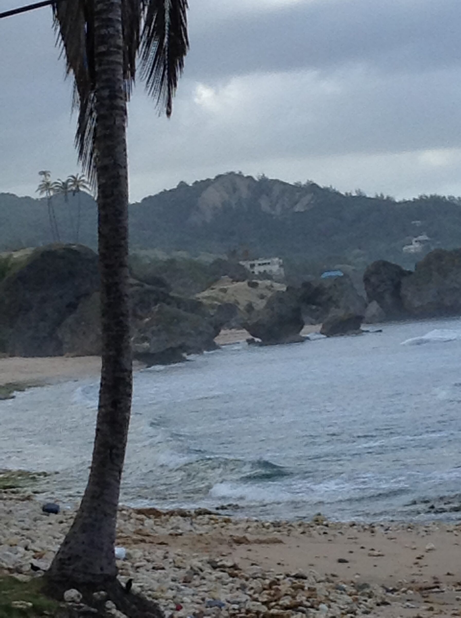 The bay along the Barbados coast