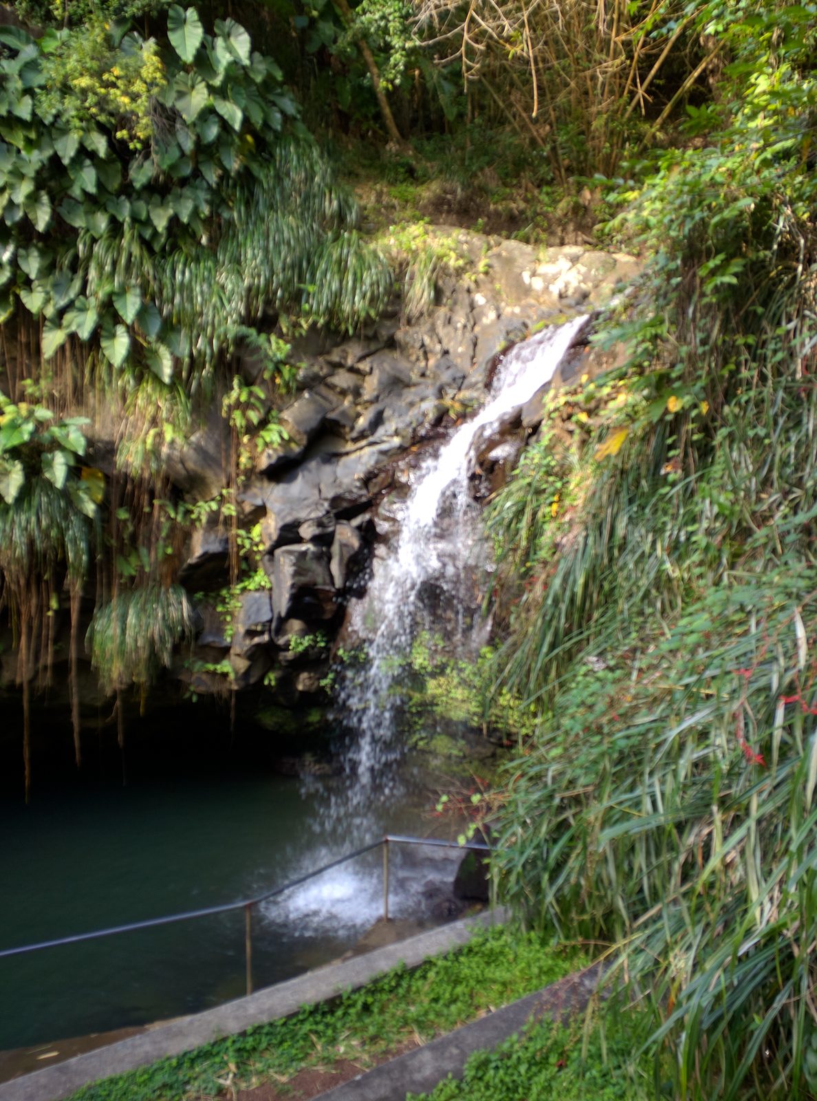 Annandale Falls from the foot of the slippery rocks