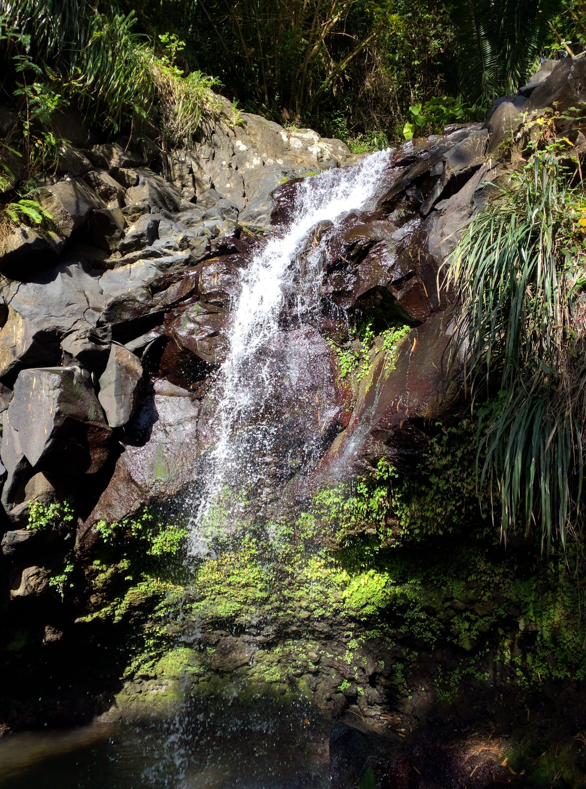 Annandale Falls, Grenada