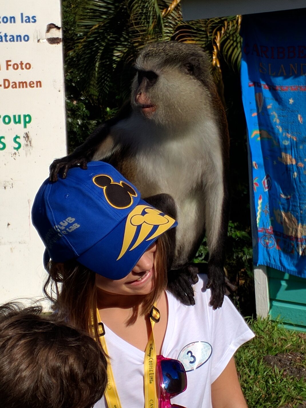 The monkey settles on Kathy's shoulder