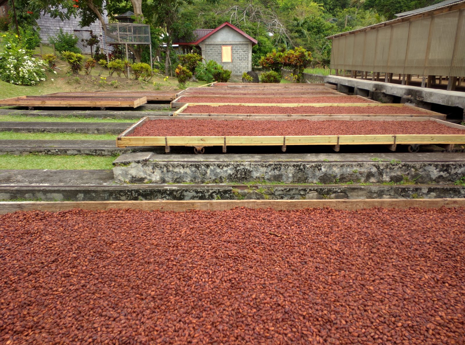 Belmont Estate, Grenada