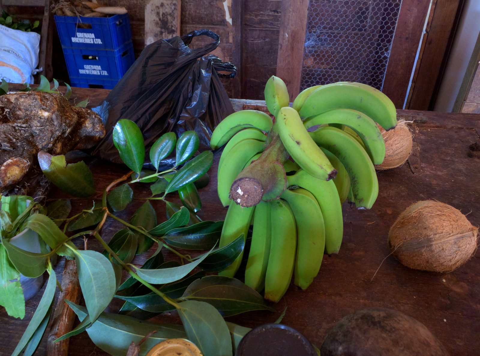 Bananas and coconuts at Dougaldston Spice Estate