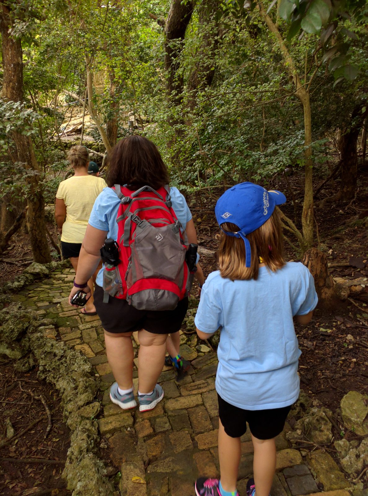 Heading down the brick path at the Barbados Wildlife Reserve