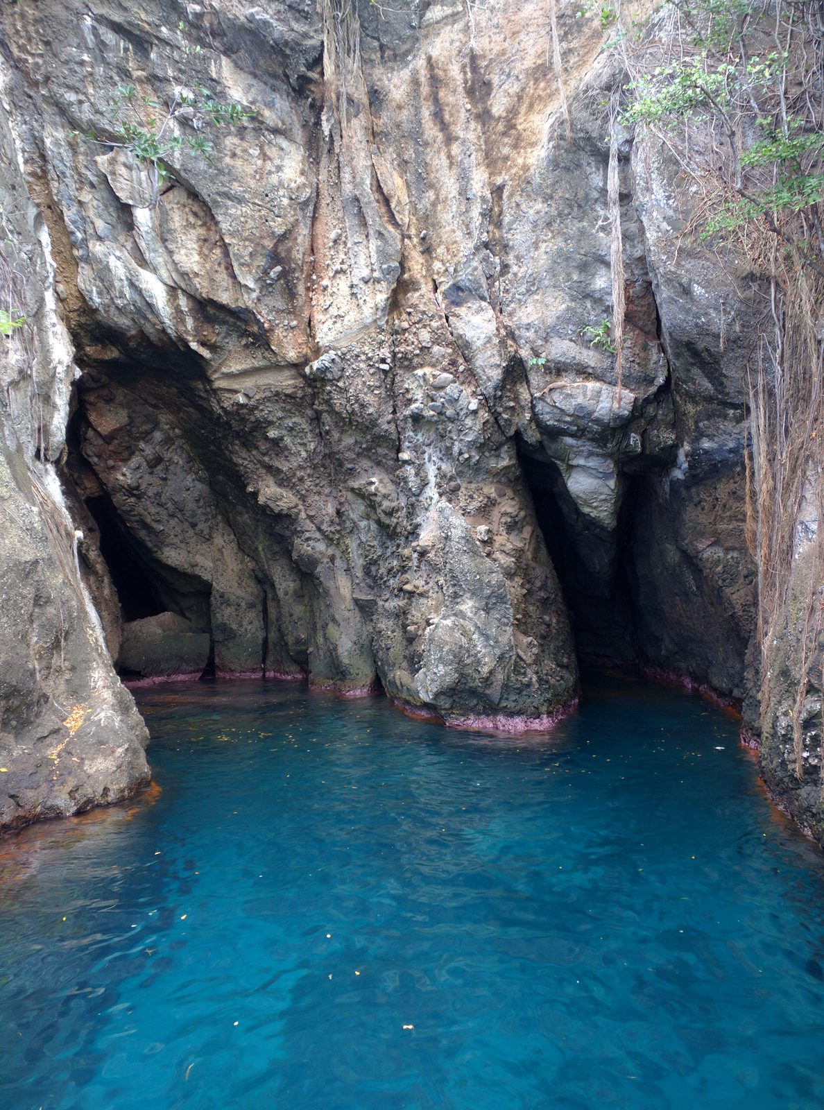Anse Noire, Martinique