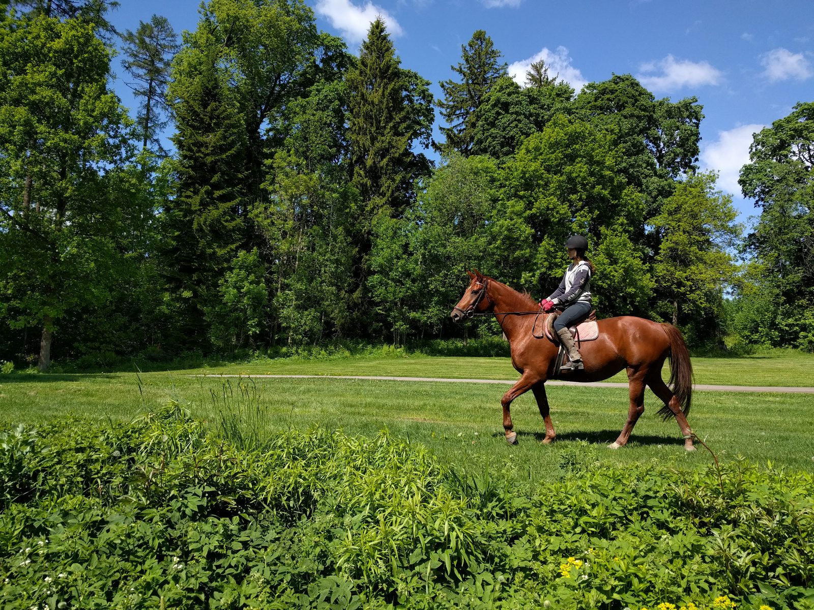 Horseback riding at the Sipoo farm
