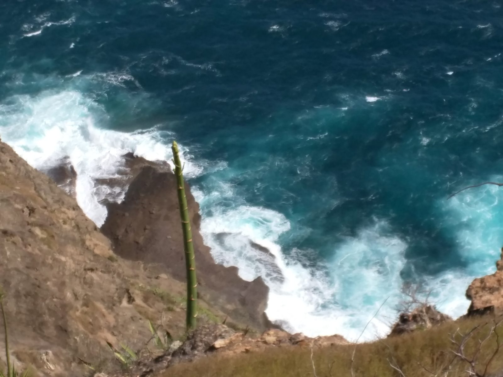 Surf crashing on the rocks below Shirley Heights