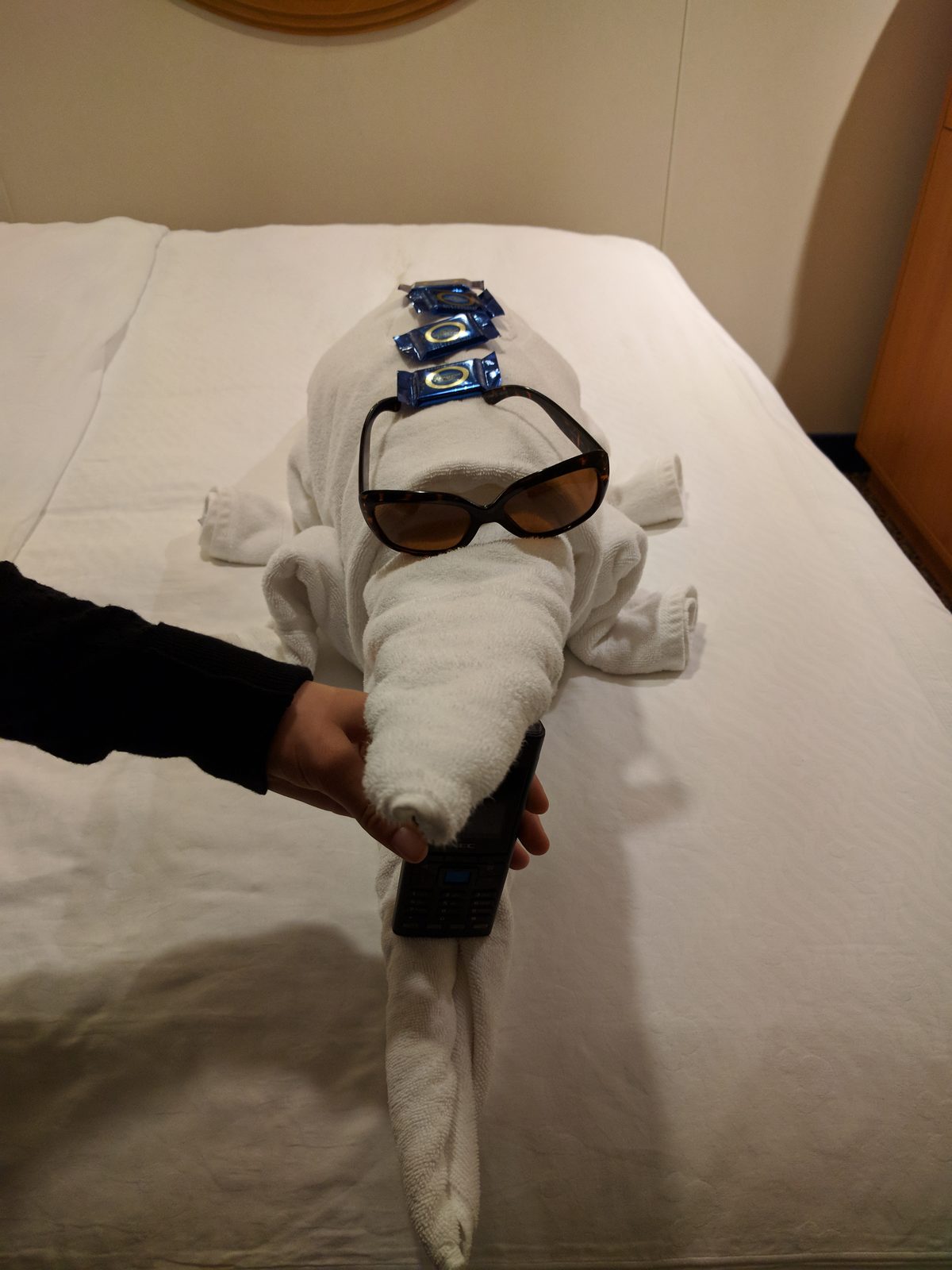 Another towel animal waiting on the bed