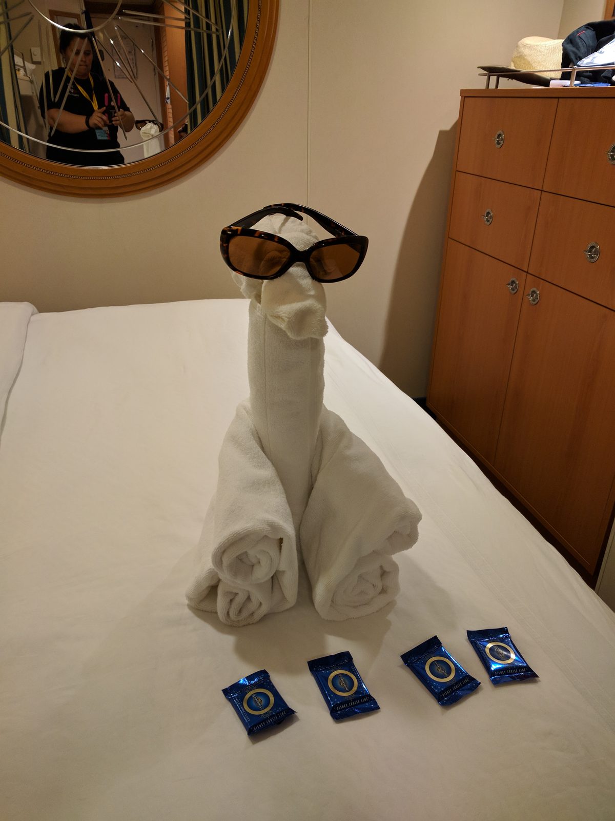 Towel animal in sunglasses waiting for us