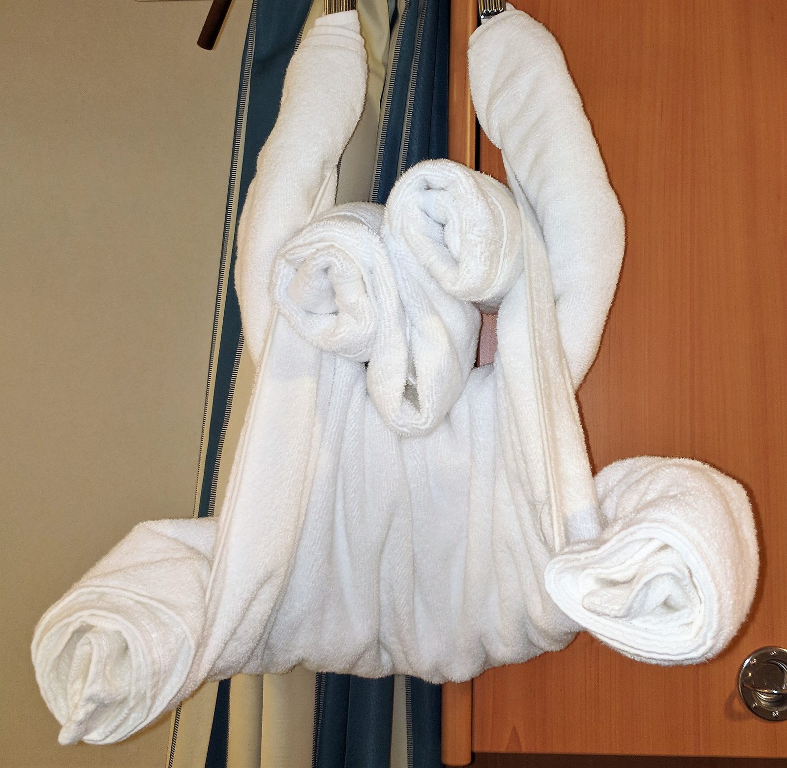 Towel elephant waiting in our stateroom