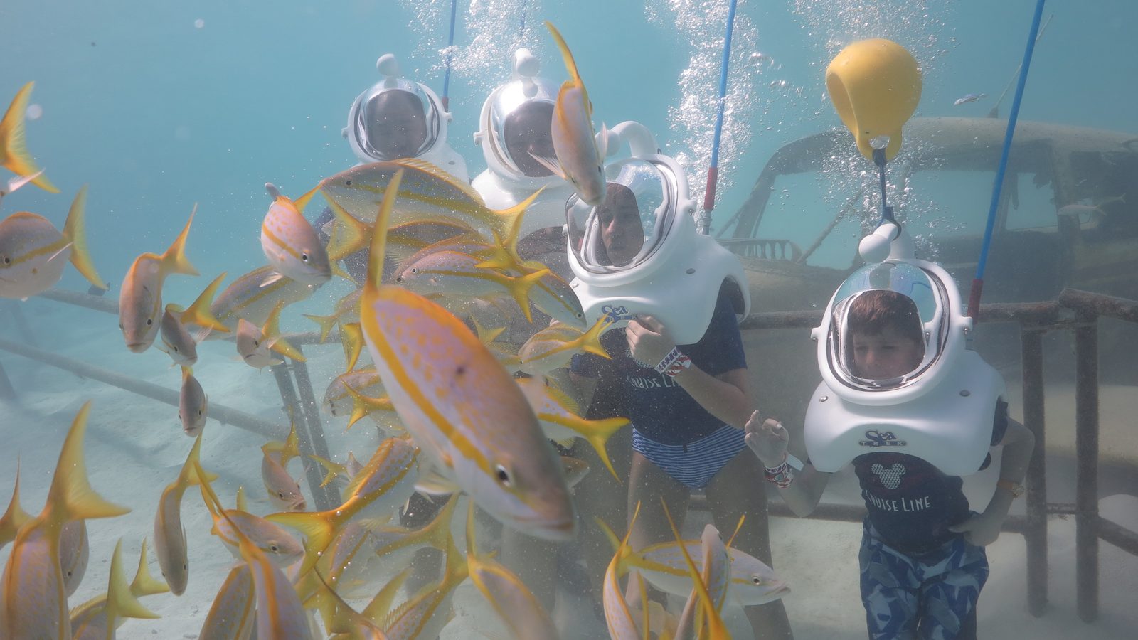 Fish swimming past the Sea Trek helmets