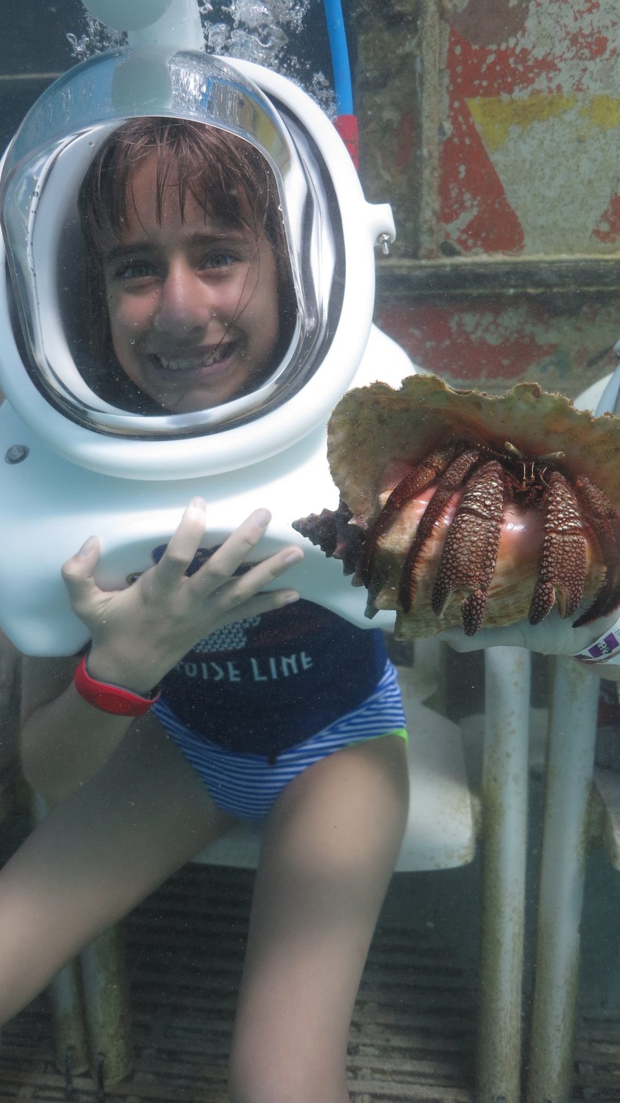 Lisa holds a hermit crab