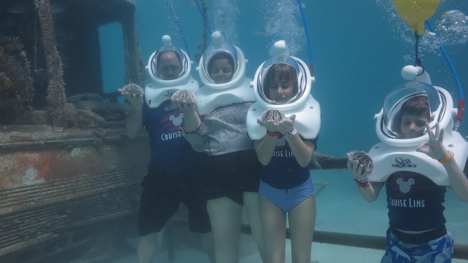 All four of us suited up for Sea Trek