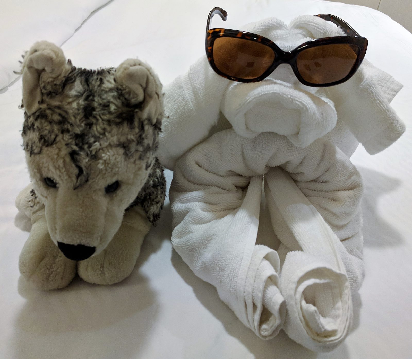 Towel dog with sunglasses in our stateroom