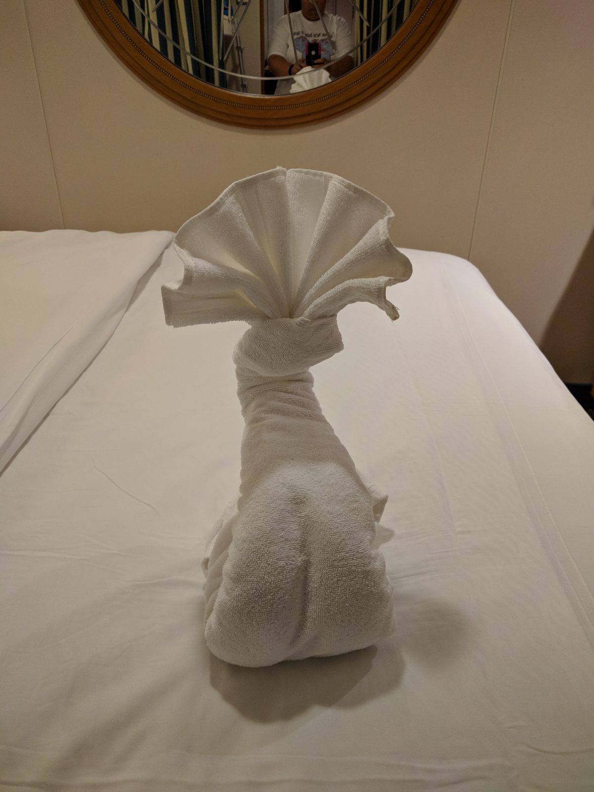 A towel animal waiting in the stateroom
