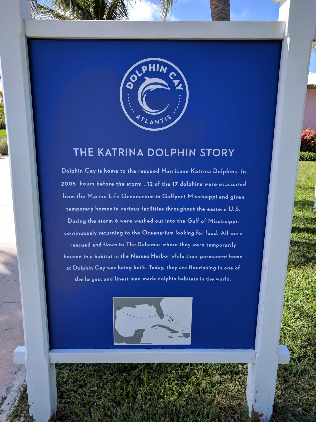The Katrina dolphin story sign at Dolphin Cay