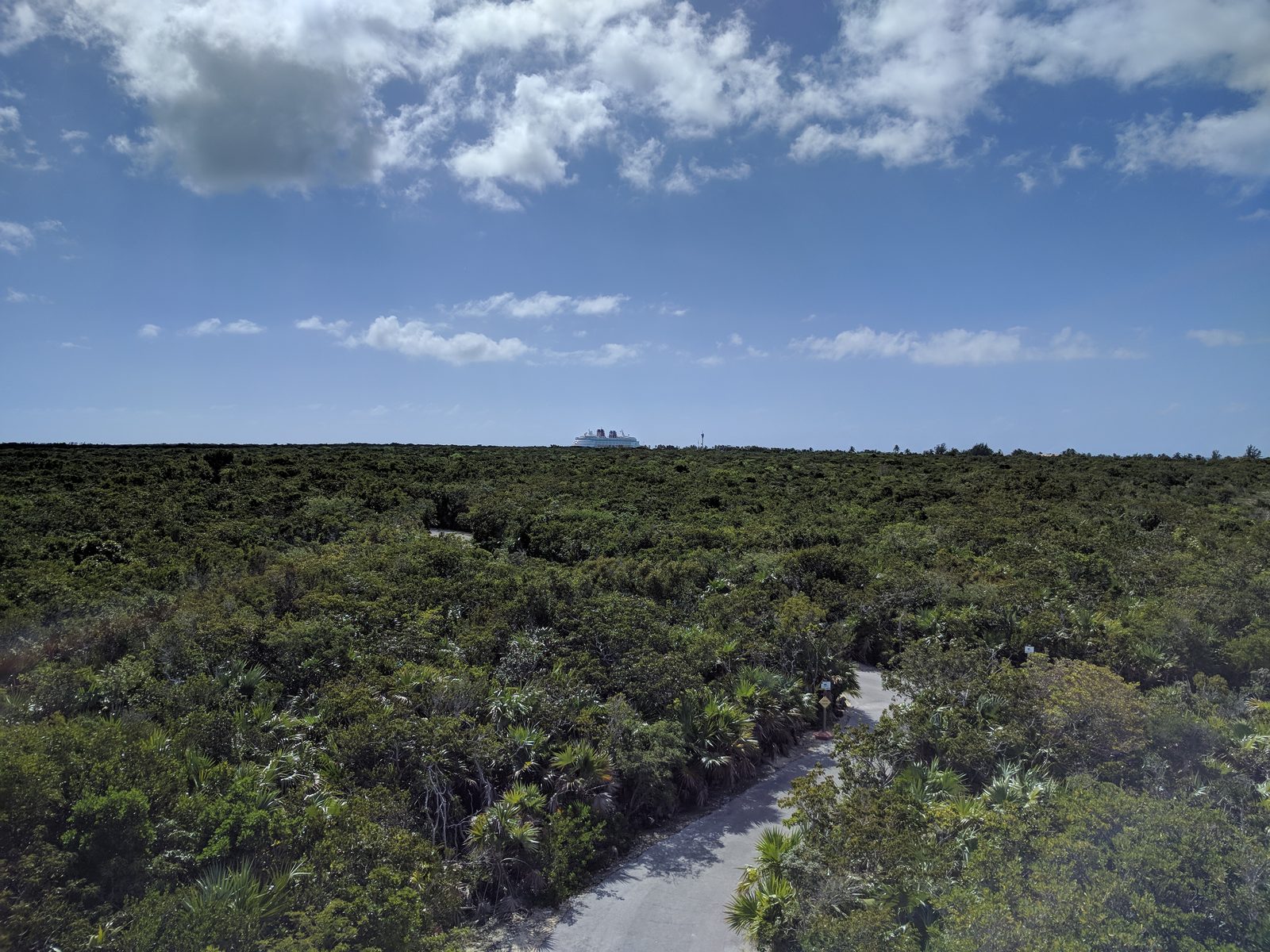 The ship across the mangroves