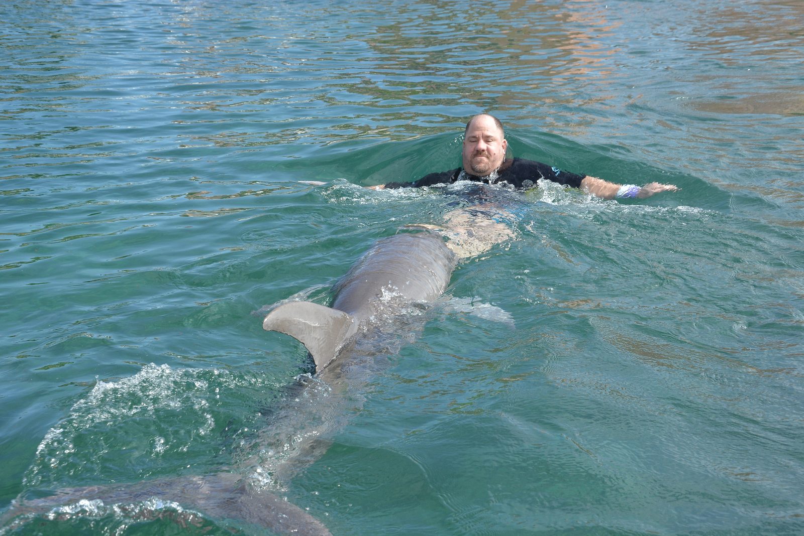 Michael getting towed by the dolphin at Dolphin Cay