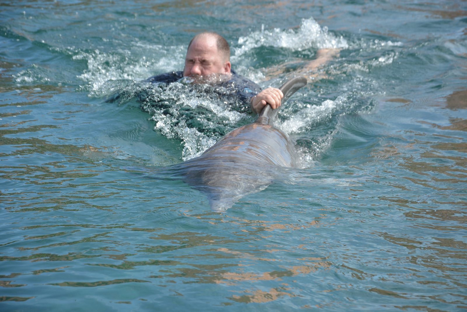 Getting pulled along by a dolphin