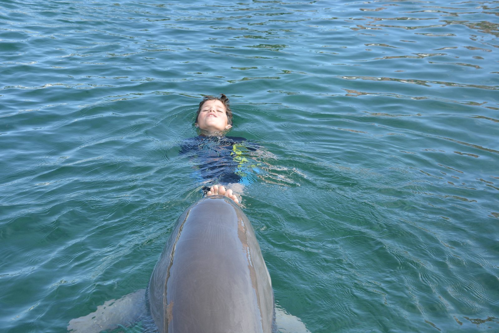 Thomas riding alongside a dolphin