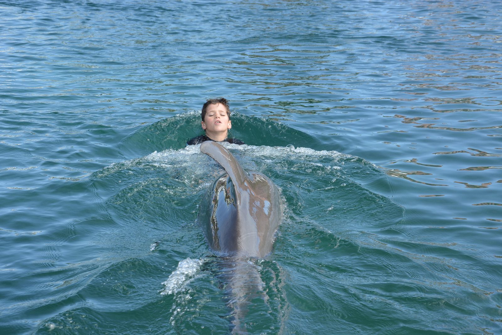 Gliding behind the dolphin at Dolphin Cay