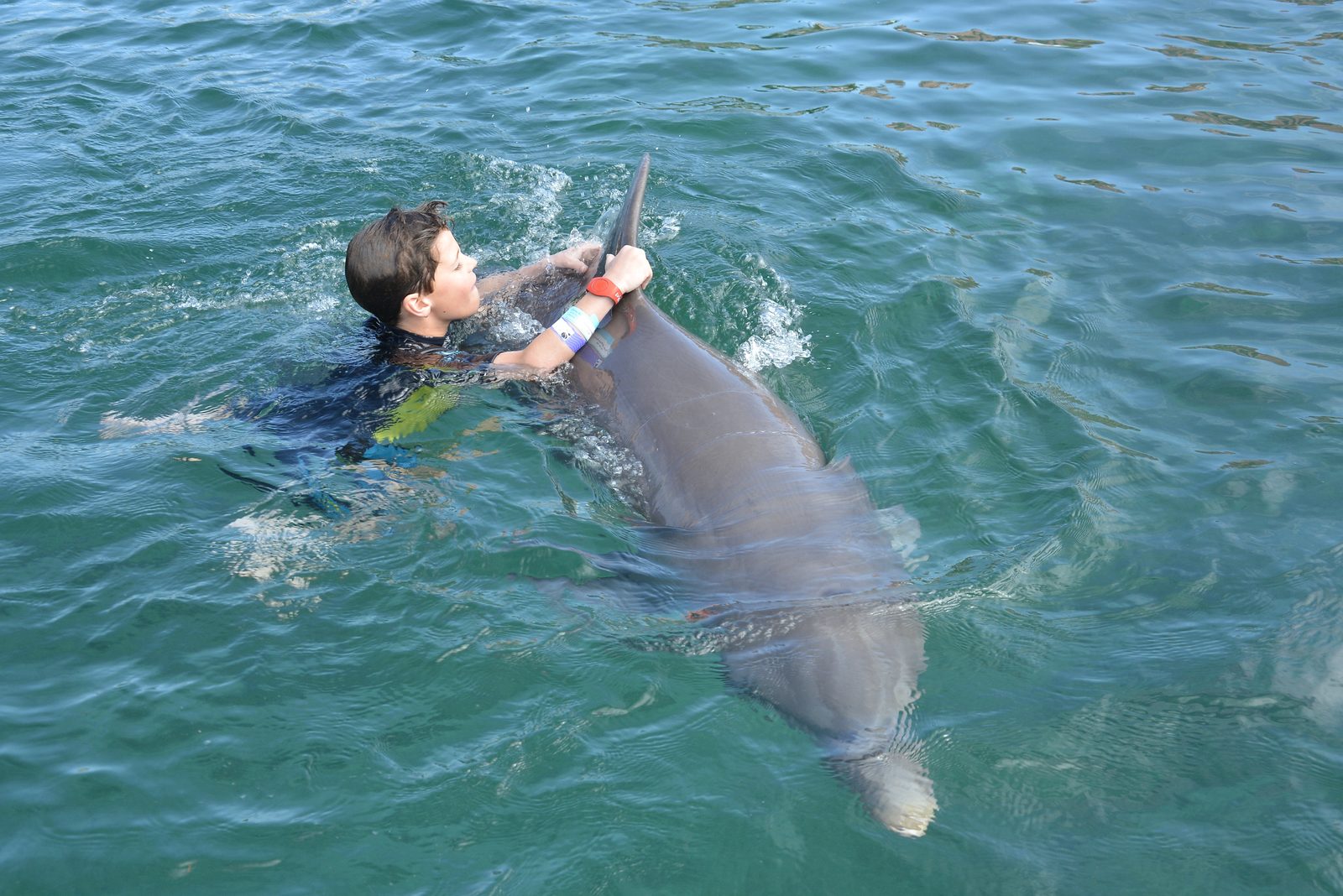Thomas gets a hug from a dolphin
