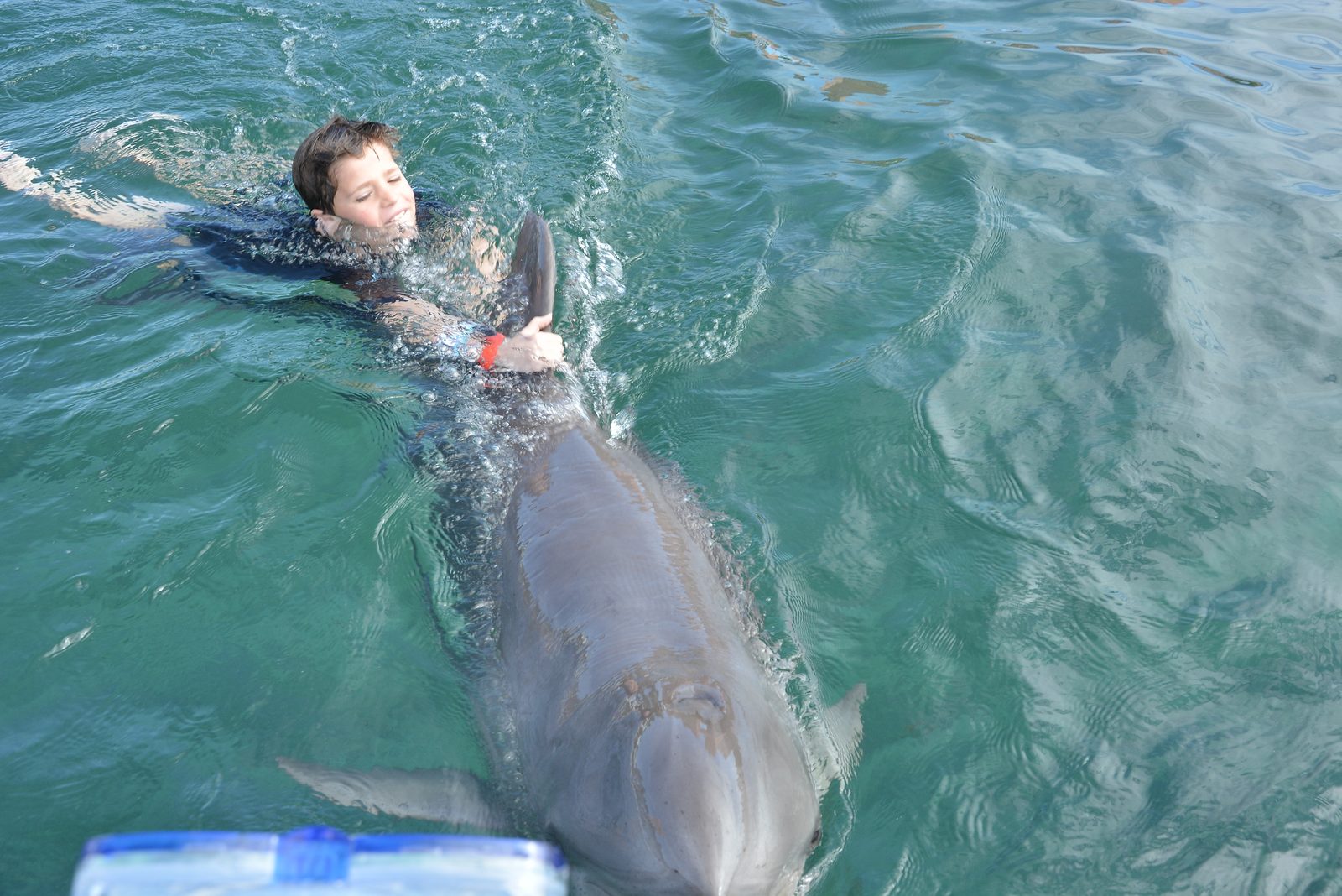Getting towed along by the dolphin at Dolphin Cay