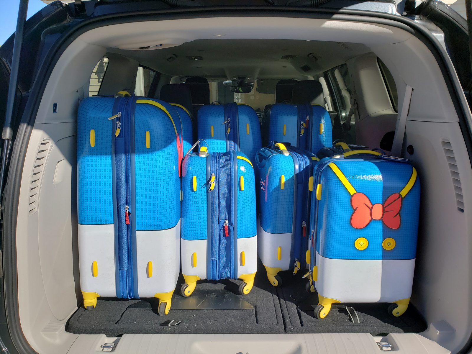 The Donald Duck suitcases, loaded for the trip