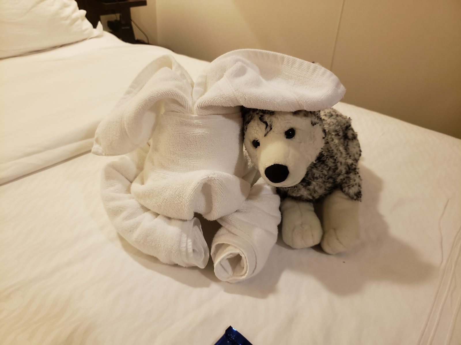 A towel animal waiting on the bed