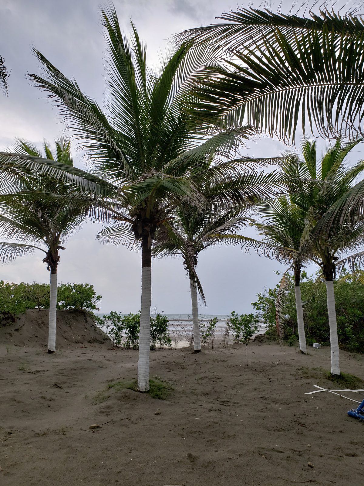 The path to the beach at Las Americas