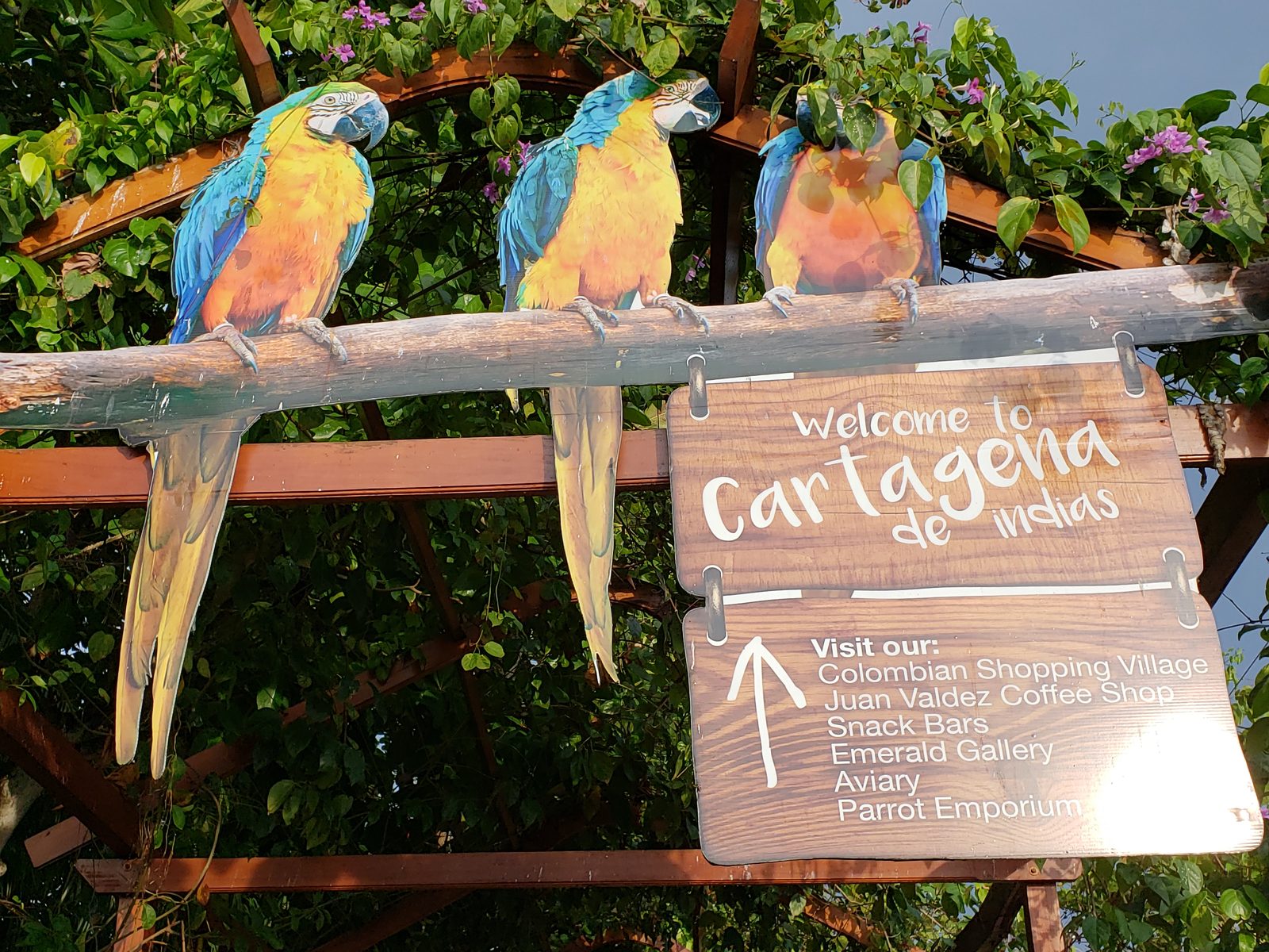 Macaws under the welcome to Cartagena sign