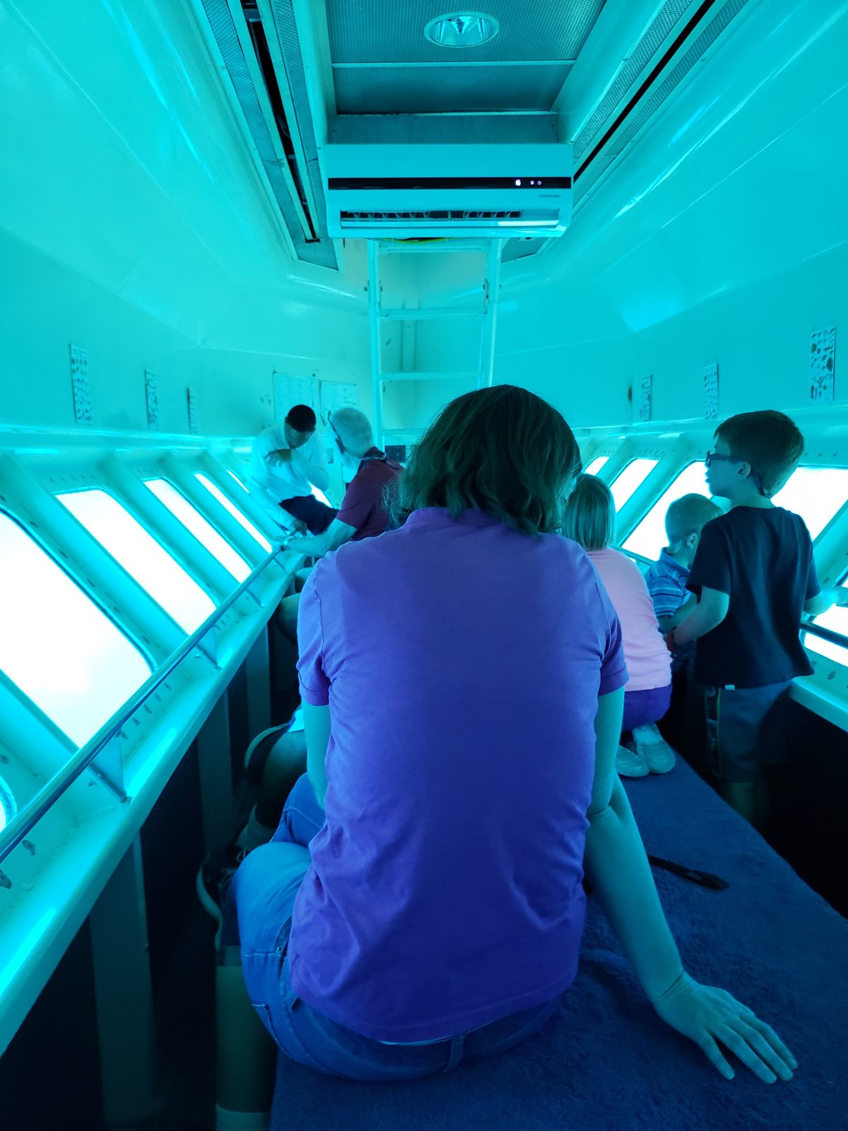 Watching the reef from the Seaworld Observatory windows