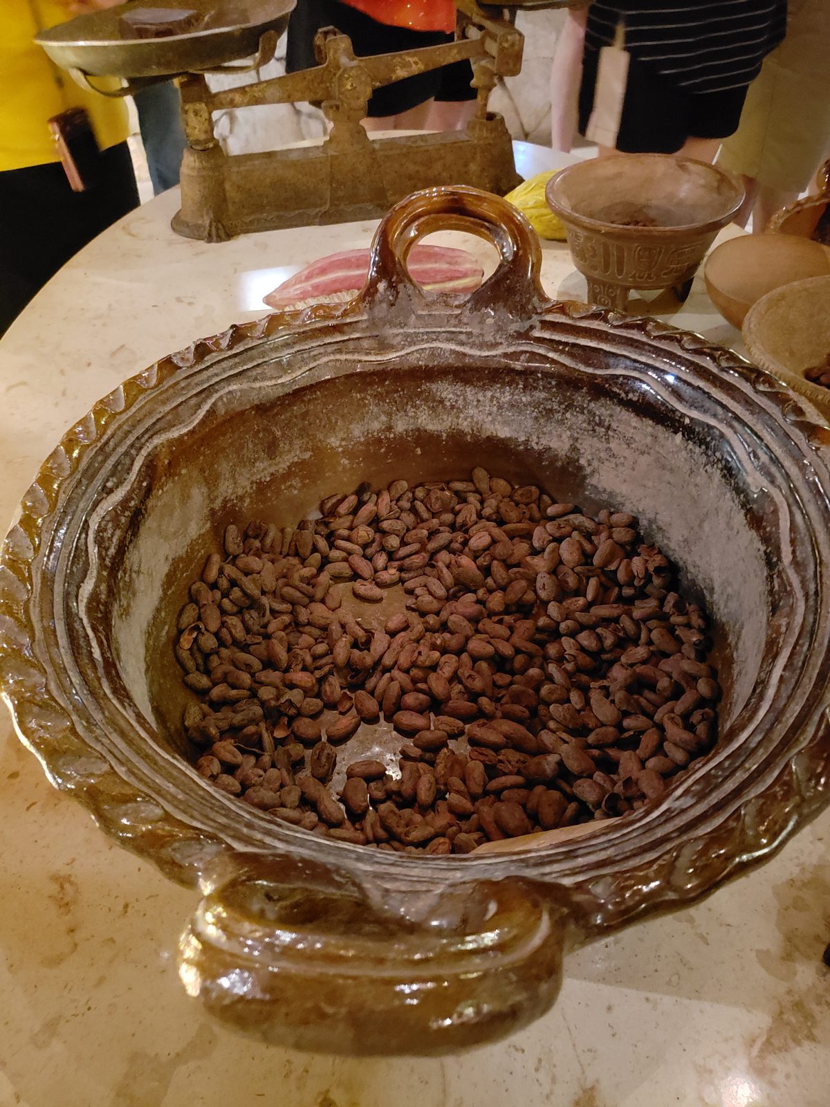 Cacao beans at the Mayan Cacao Company