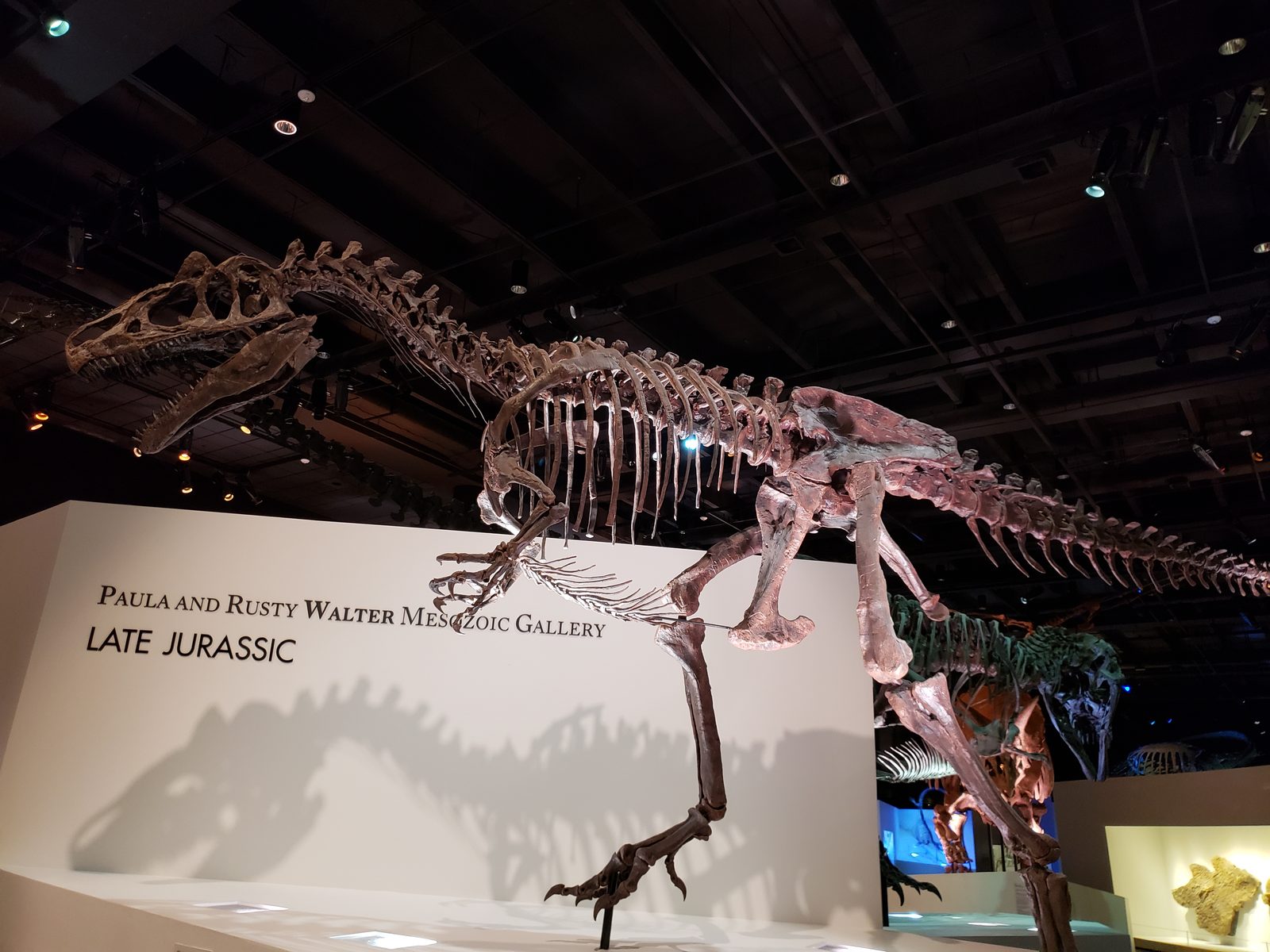 The Late Jurassic gallery at the Houston museum