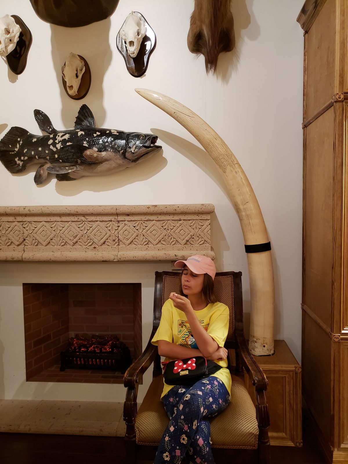 Lisa in the Cabinet of Curiosities