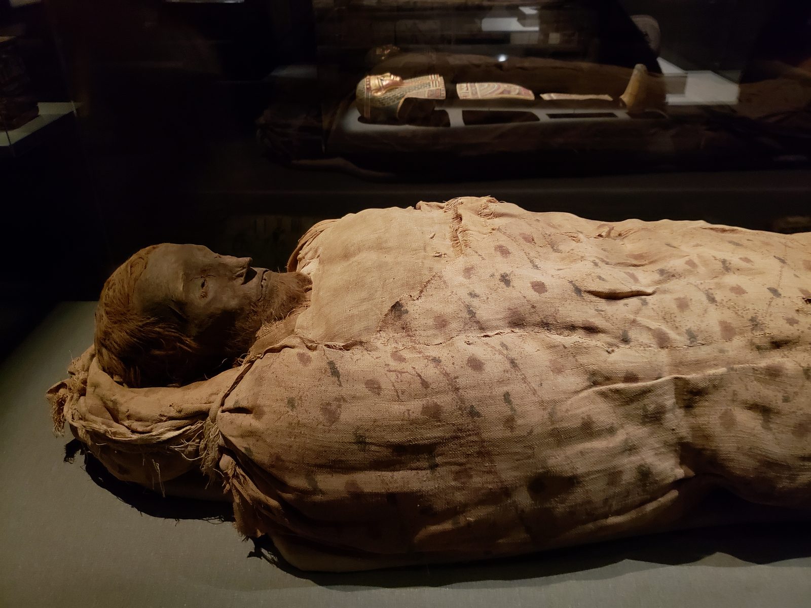 A wrapped mummy at the Houston museum