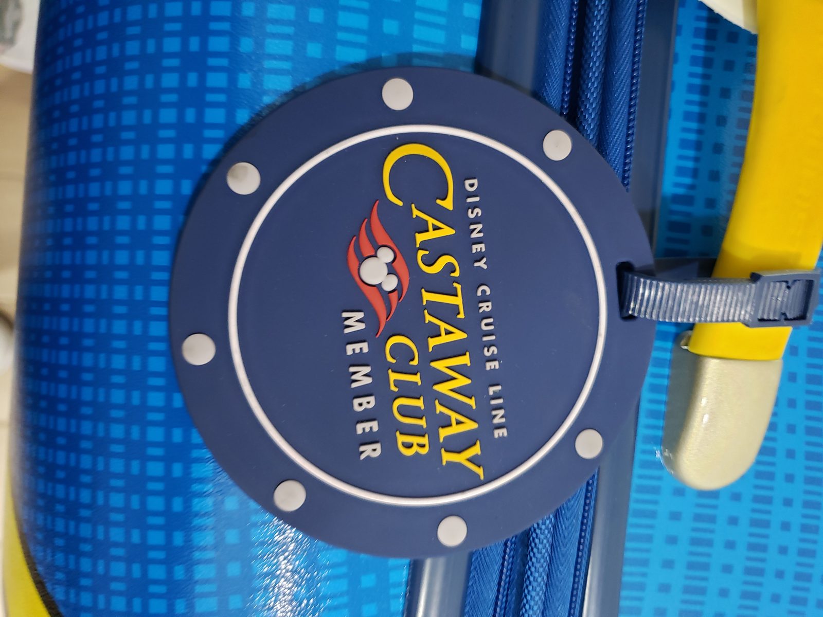 Our Castaway Club medallion, cruise number twelve