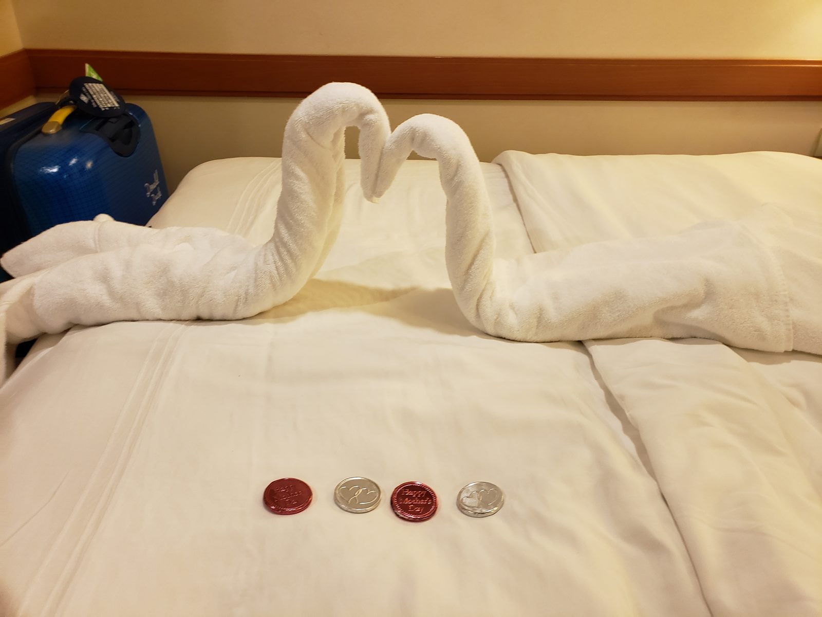 A towel swan and chocolate coins waiting for us