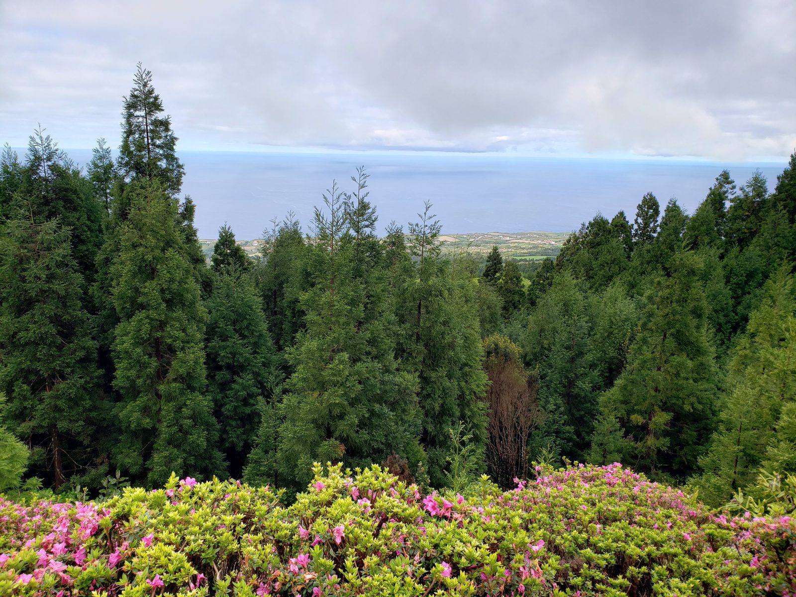 Spring blossoms at the Sete Cidades overlook