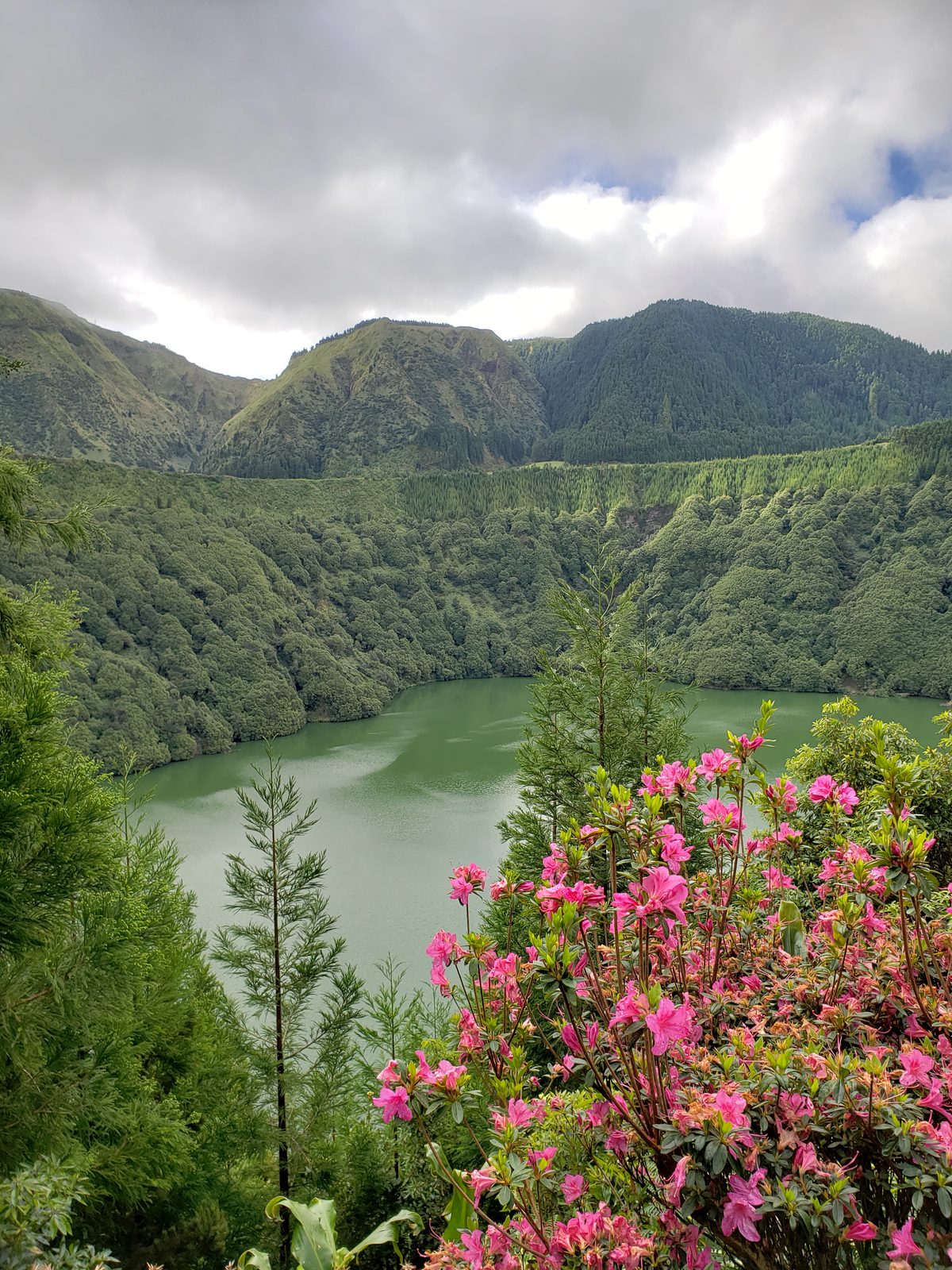 The crater lake through spring blossoms