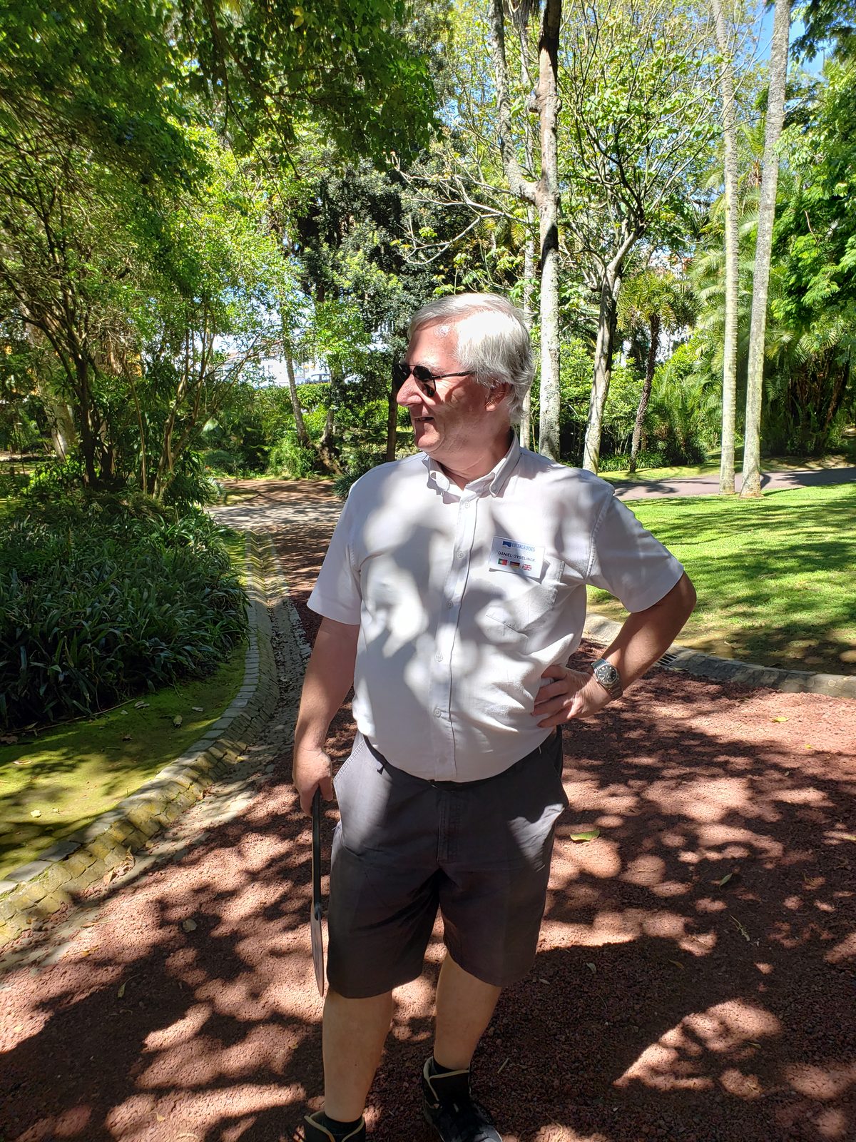 Under the roots of a banyan tree