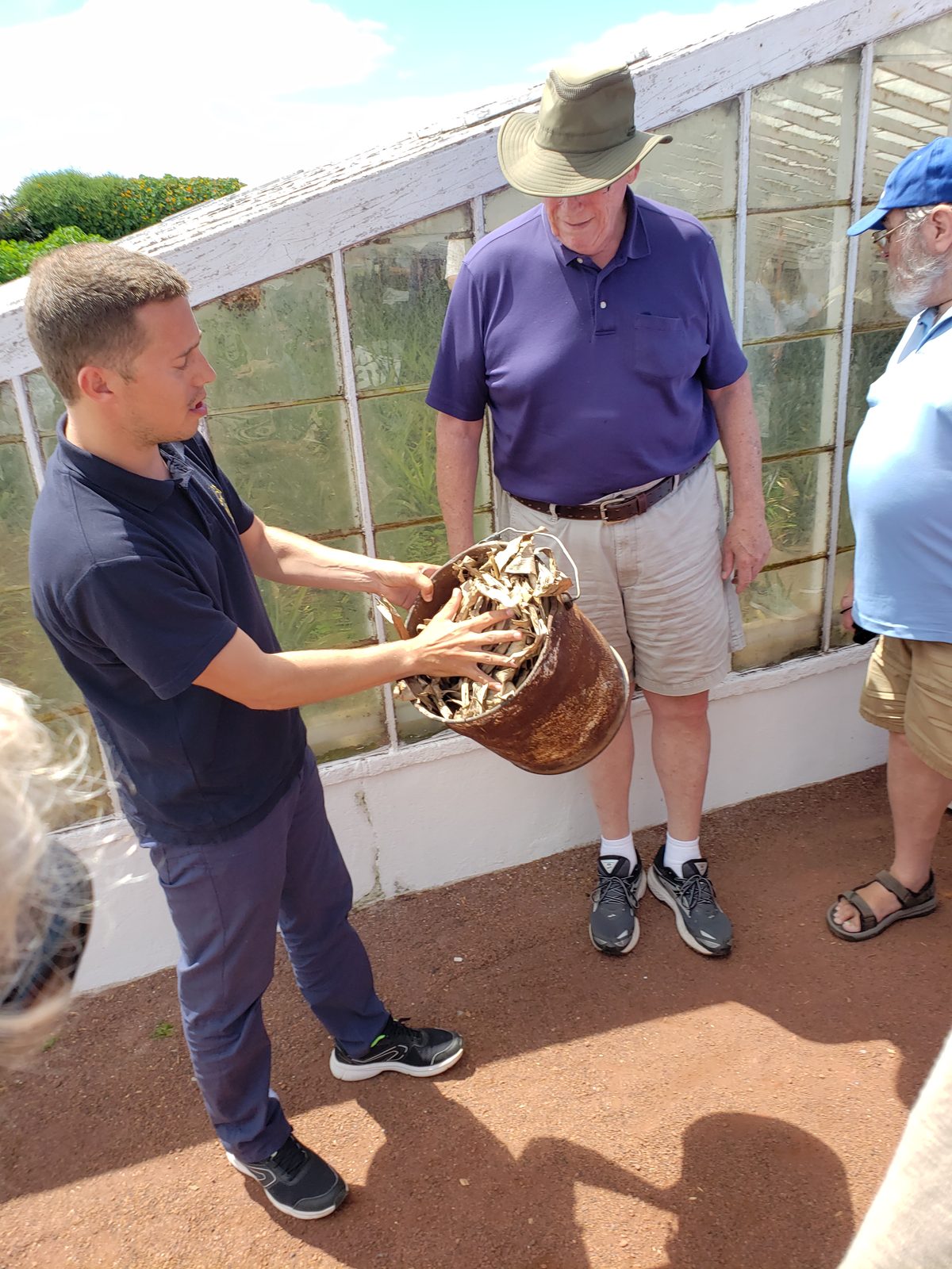 The guide explains how they force pineapples to flower