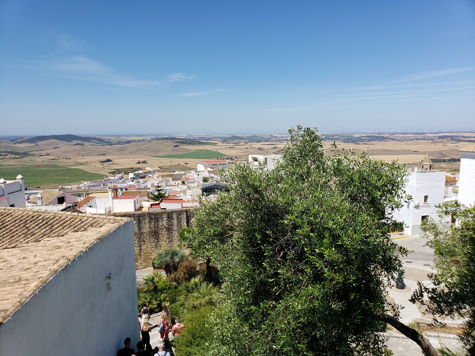Medina Sidonia's rooftops and the farmland beyond