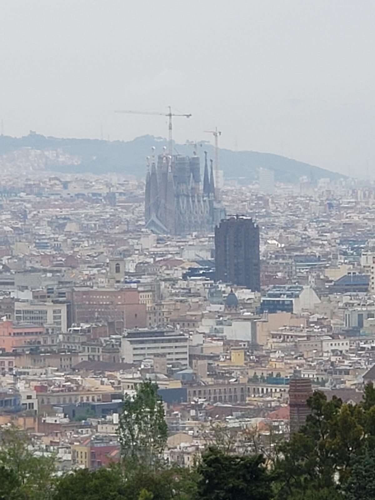 13-Night Eastbound Transatlantic Cruise from Miami to Barcelona