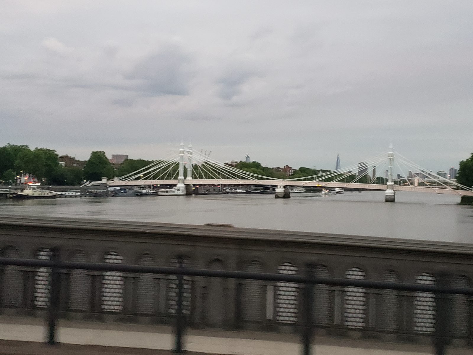 Albert Bridge over the Thames that evening