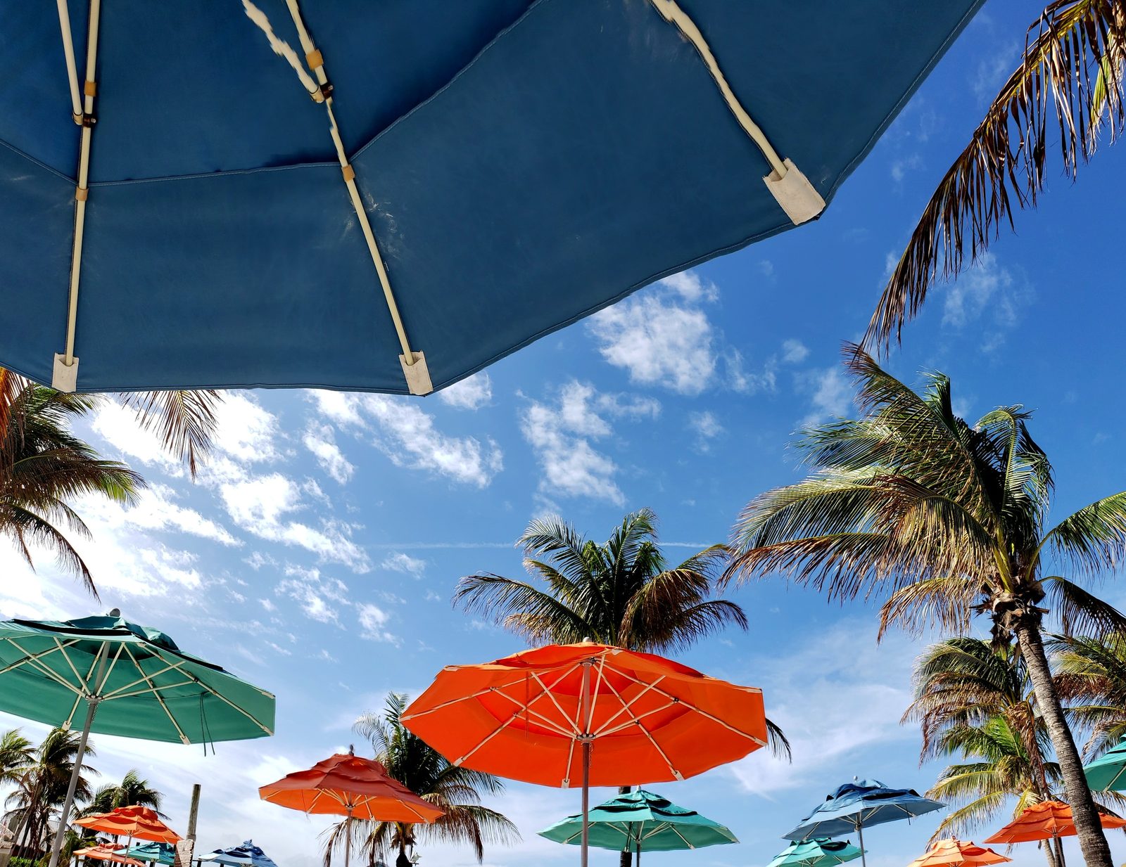 Beach umbrellas at Castaway Cay