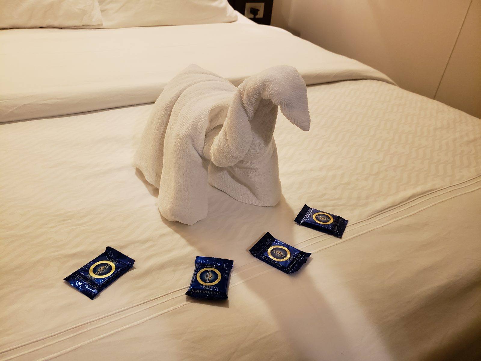 Towel animal and turndown chocolates